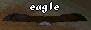 eagle2.gif (2562 bytes)